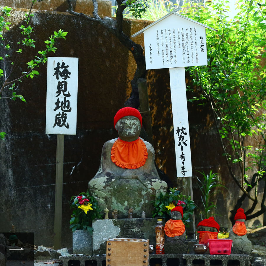 Plum Viewing Jizo