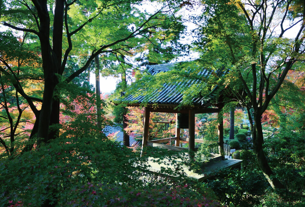 お遍路イメージ4