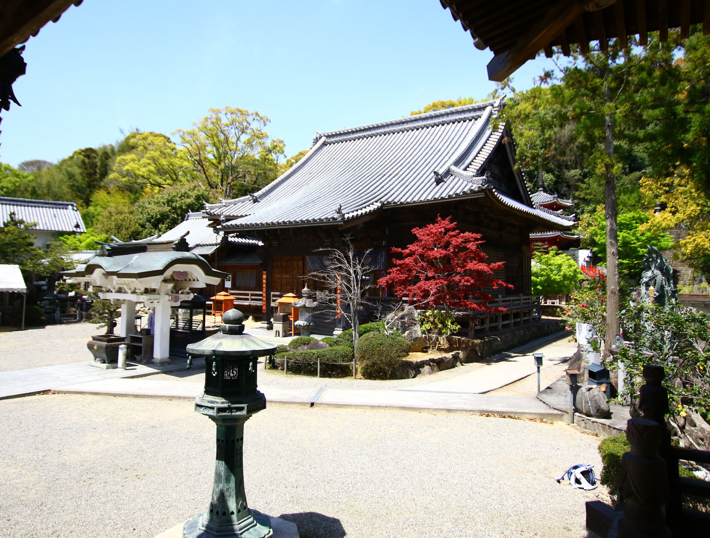 亀光山 釈迦院 金泉寺
